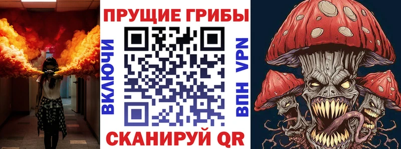 Псилоцибиновые грибы GOLDEN TEACHER Краснообск